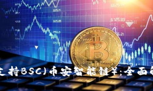 tpWallet如何支持BSC（币安智能链）：全面解析与用户指南