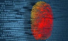 为什么TPWallet出不了？探讨常见问题及解决方案