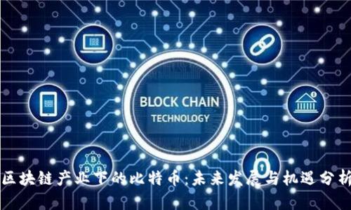 区块链产业下的比特币：未来发展与机遇分析