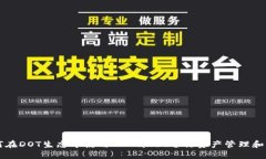 如何在DOT生态中使用TPWa