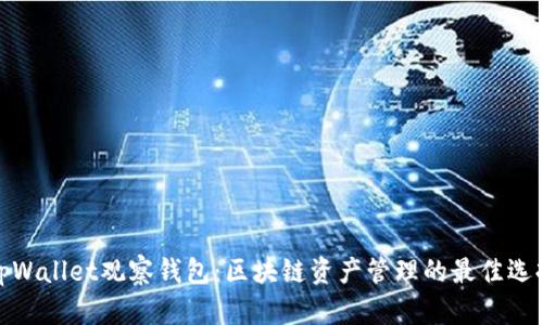 tpWallet观察钱包：区块链资产管理的最佳选择