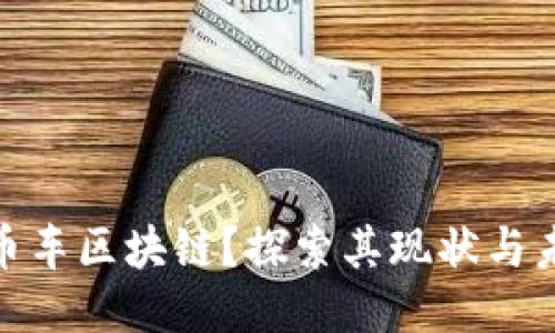  什么是币车区块链？探索其现状与未来潜力 