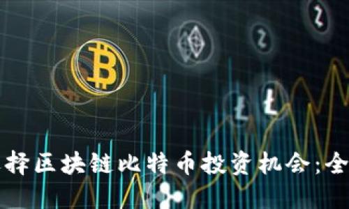 如何选择区块链比特币投资机会：全面指南