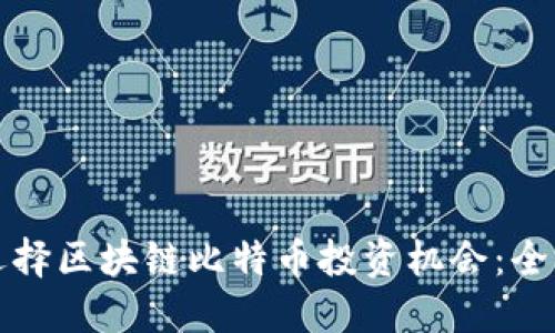 如何选择区块链比特币投资机会：全面指南