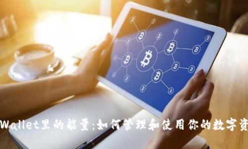 tpWallet里的能量：如何管理和使用你的数字资产