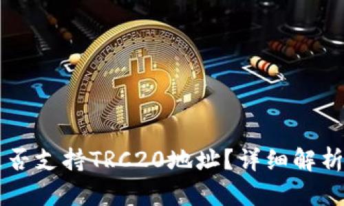 tpWallet是否支持TRC20地址？详细解析及使用指南