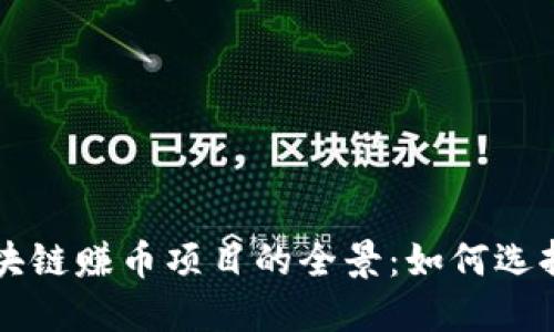 揭示区块链赚币项目的全景：如何选择和参与