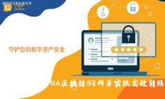 如何下载比特币DNA区块链