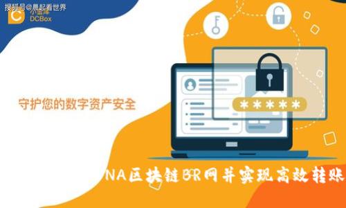 如何下载比特币DNA区块链BR网并实现高效转账操作