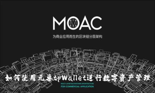 如何使用元兽tpWallet进行数字资产管理