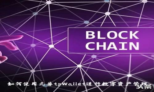如何使用元兽tpWallet进行数字资产管理