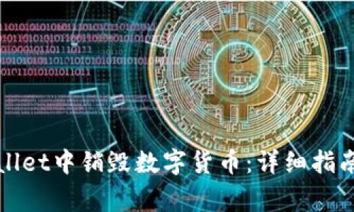如何在tpWallet中销毁数字货币：详细指南与注意事项