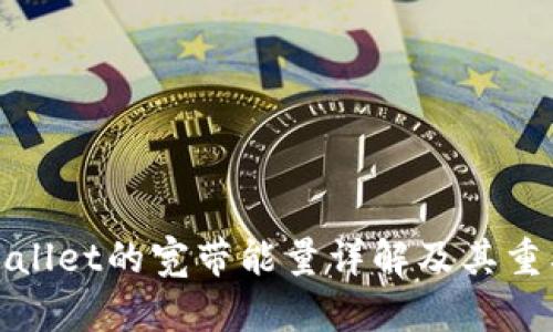 tpWallet的宽带能量详解及其重要性