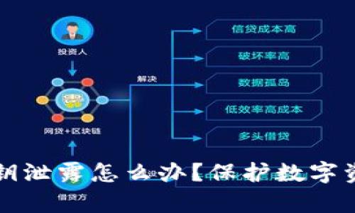 : tpWallet密钥泄露怎么办？保护数字资产的全面指南