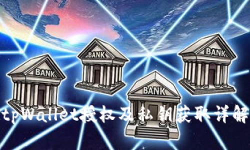 tpWallet授权及私钥获取详解