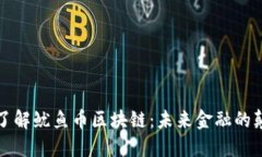 深入了解鱿鱼币区块链：