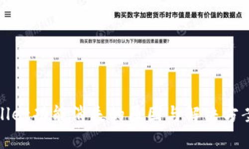 tpWallet功能消失的原因与解决方案探讨