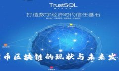 俄罗斯币区块链的现状与