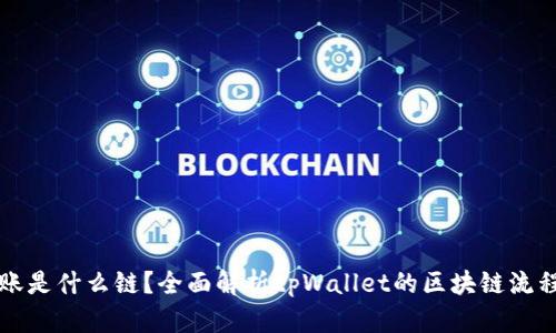 tpWallet转账是什么链？全面解析tpWallet的区块链流程与技术优势
