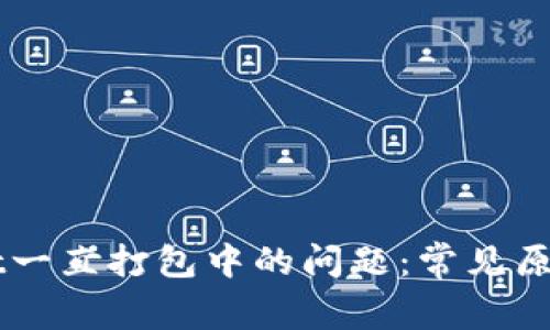 解决tpWallet一直打包中的问题：常见原因及解决方法