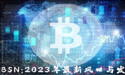 
区块链BSN：2023年最新风口与发展趋势