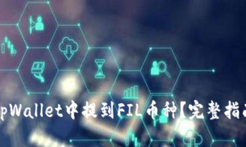怎样在tpWallet中提到FIL币种？完整指南与技巧