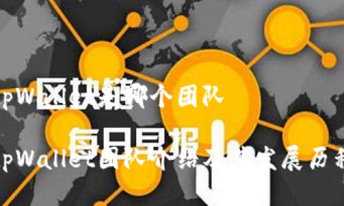 tpWallet是哪个团队

tpWallet团队介绍及其发展历程