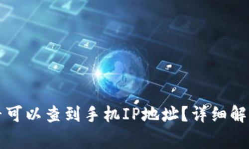 tpWallet登录是否可以查到手机IP地址？详细解析与常见问题解答