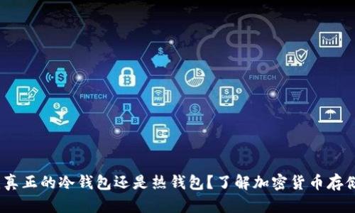 tpWallet：真正的冷钱包还是热钱包？了解加密货币存储的安全性