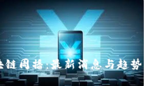 区块链周播：最新消息与趋势分析