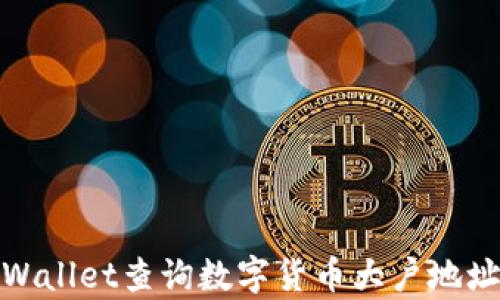 如何通过tpWallet查询数字货币大户地址与持仓概况