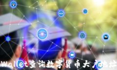 如何通过tpWallet查询数字货
