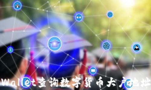 如何通过tpWallet查询数字货币大户地址与持仓概况