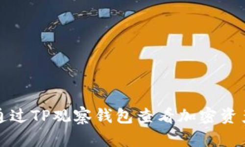 如何通过TP观察钱包查看加密资产动态