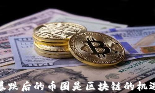
暴跌后的币圈是区块链的机遇