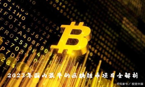 2023年国内最牛的区块链币项目全解析