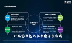 : TP观察钱包的私钥安全性