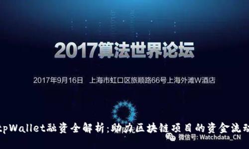 tpWallet融资全解析：助力区块链项目的资金流动