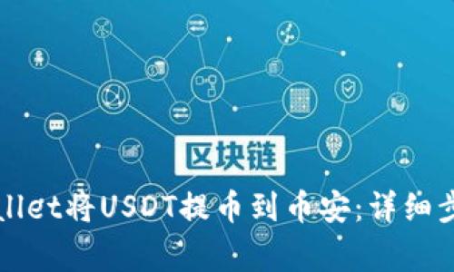 如何通过tpWallet将USDT提币到币安：详细步骤与注意事项