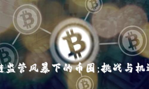 区块链监管风暴下的币圈：挑战与机遇并存