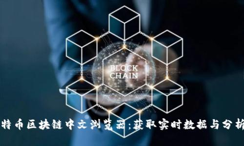 深入了解比特币区块链中文浏览器：获取实时数据与分析的最佳工具