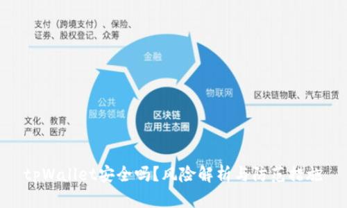 tpWallet安全吗？风险解析与防范措施