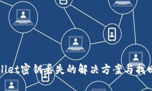 tpWallet密钥丢失的解决方案与找回指南