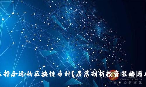 : 如何选择合适的区块链币种？层层剖析投资策略与风险管理