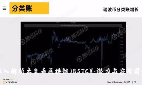 深入解析木炎币区块链（BSTC）：潜力与应用前景