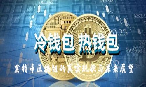 莱特币区块链的真实现状与未来展望
