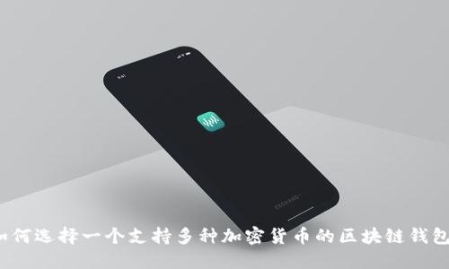 如何选择一个支持多种加密货币的区块链钱包？