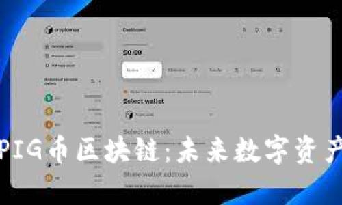 深度解析PIG币区块链：未来数字资产的新选择