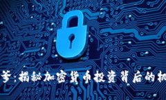 区块链币爹：揭秘加密货币投资背后的机遇与挑