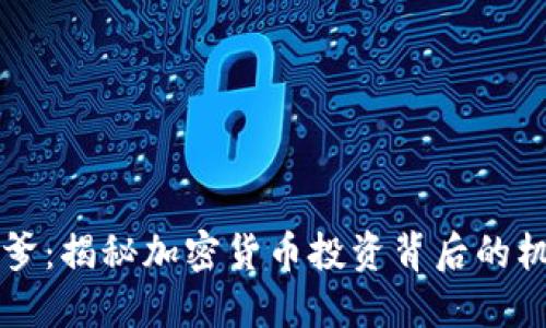区块链币爹：揭秘加密货币投资背后的机遇与挑战